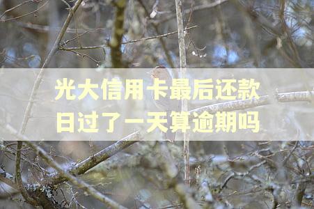 光大信用卡最后还款日过了一天算逾期吗