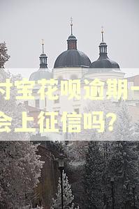支付宝花呗逾期一两天会上征信吗? 支付宝花呗逾期一两天会上征信吗?