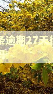 白条逾期27天很严重吗