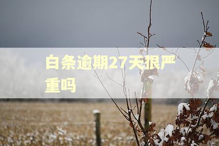 白条逾期27天很严重吗