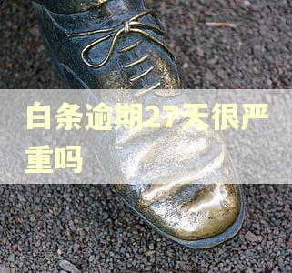 白条逾期27天很严重吗