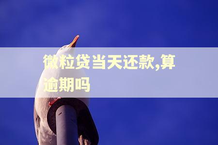 微粒贷当天还款,算逾期吗