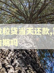微粒贷当天还款,算逾期吗