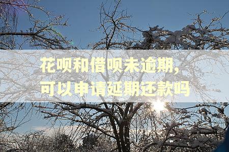 花呗和借呗未逾期,可以申请延期还款吗
