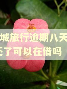 同城旅行逾期八天了,还了可以在借吗