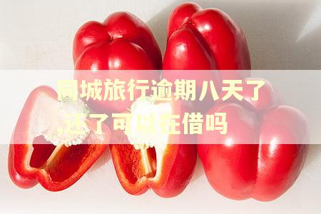 同城旅行逾期八天了,还了可以在借吗