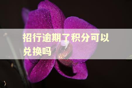 招行逾期了积分可以兑换吗