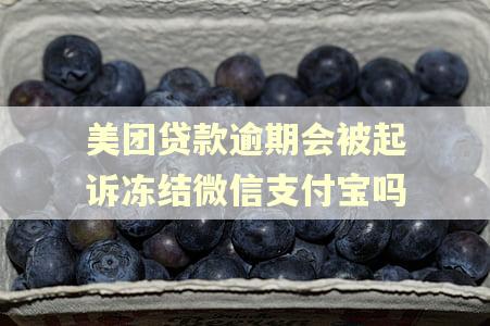 美团贷款逾期会被起诉冻结微信支付宝吗 美团贷款逾期会被起诉冻结微信支付宝吗