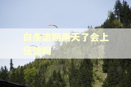 白条逾期两天了会上征信吗