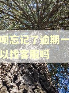 借呗忘记了逾期一天可以找客服吗 借呗忘记了逾期一天可以找客服吗