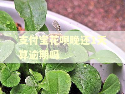 支付宝花呗晚还1天算逾期吗
