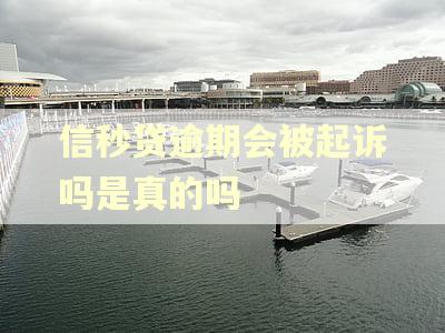 信秒贷逾期会被起诉吗是真的吗