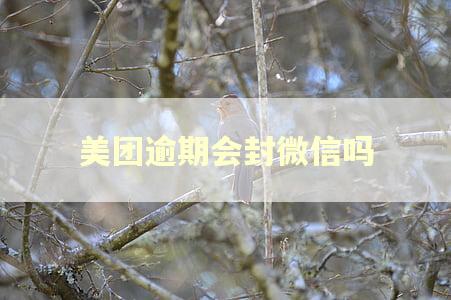 美团逾期会封微信吗