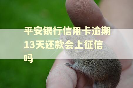 平安银行信用卡逾期13天还款会上征信吗