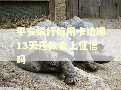 平安银行信用卡逾期13天还款会上征信吗