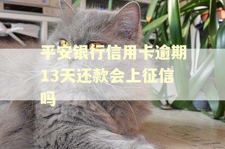 平安银行信用卡逾期13天还款会上征信吗