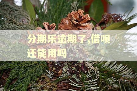 分期乐逾期了,借呗还能用吗