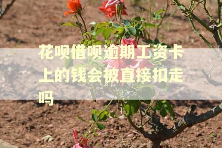 花呗借呗逾期工资卡上的钱会被直接扣走吗