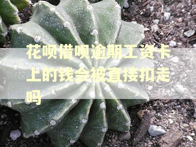 花呗借呗逾期工资卡上的钱会被直接扣走吗