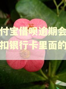 支付宝借呗逾期会自动扣银行卡里面的钱吗