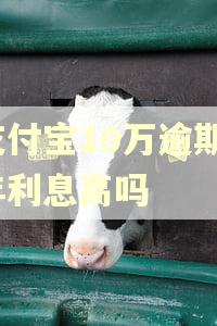 支付宝10万逾期3年利息高吗