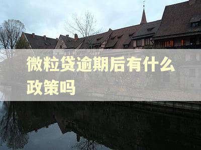 微粒贷逾期后有什么政策吗