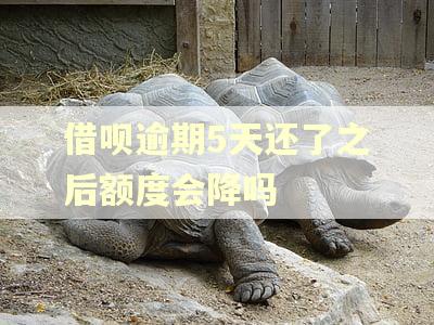 借呗逾期5天还了之后额度会降吗
