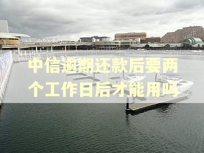 中信逾期还款后要两个工作日后才能用吗