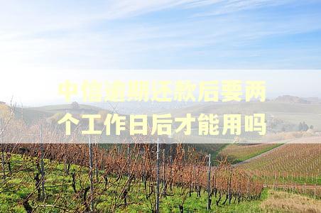 中信逾期还款后要两个工作日后才能用吗 中信逾期还款后要两个工作日后才能用吗
