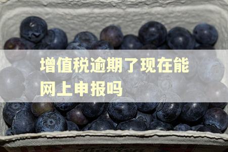 增值税逾期了现在能网上申报吗
