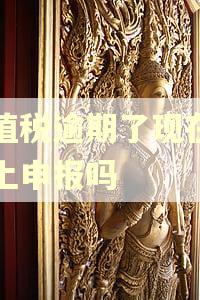 增值税逾期了现在能网上申报吗