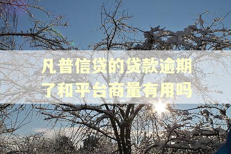 凡普信贷的贷款逾期了和平台商量有用吗