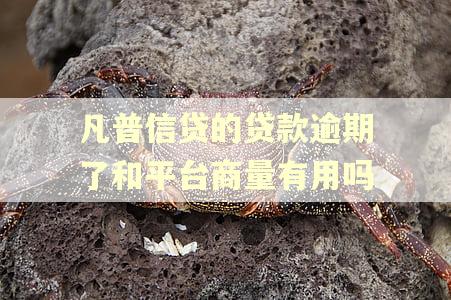 凡普信贷的贷款逾期了和平台商量有用吗