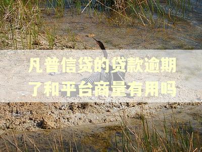 凡普信贷的贷款逾期了和平台商量有用吗 凡普信贷的贷款逾期了和平台商量有用吗
