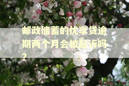 邮政储蓄的优享贷逾期两个月会被起诉吗?