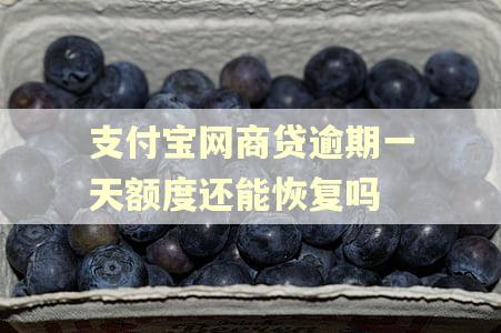 支付宝网商贷逾期一天额度还能恢复吗