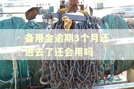 备用金逾期3个月还进去了还会用吗