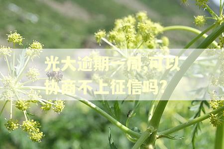 光大逾期一周,可以协商不上征信吗?