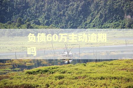 负债60万主动逾期吗