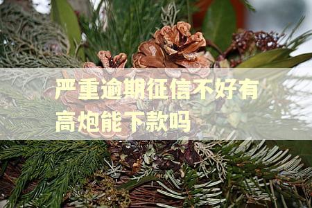 严重逾期征信不好有高炮能下款吗