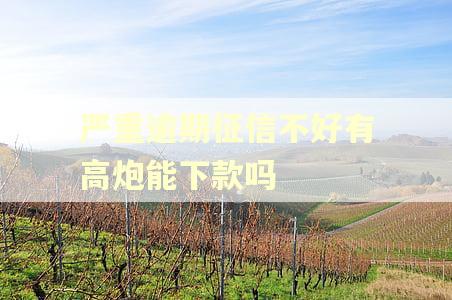 严重逾期征信不好有高炮能下款吗