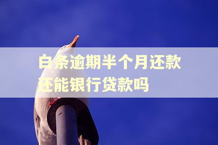 白条逾期半个月还款还能银行贷款吗