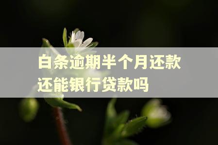 白条逾期半个月还款还能银行贷款吗