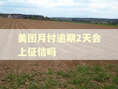 美团月付逾期2天会上征信吗