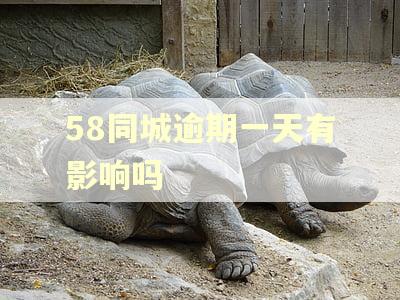 58同城逾期一天有影响吗