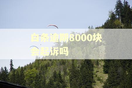 白条逾期8000块会起诉吗