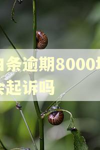 白条逾期8000块会起诉吗