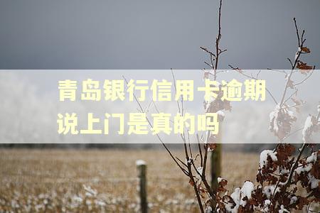 青岛银行信用卡逾期说上门是真的吗