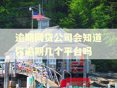逾期网贷公司会知道你逾期几个平台吗