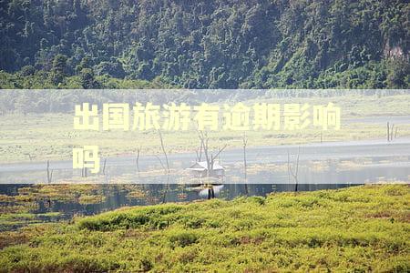 出国旅游有逾期影响吗